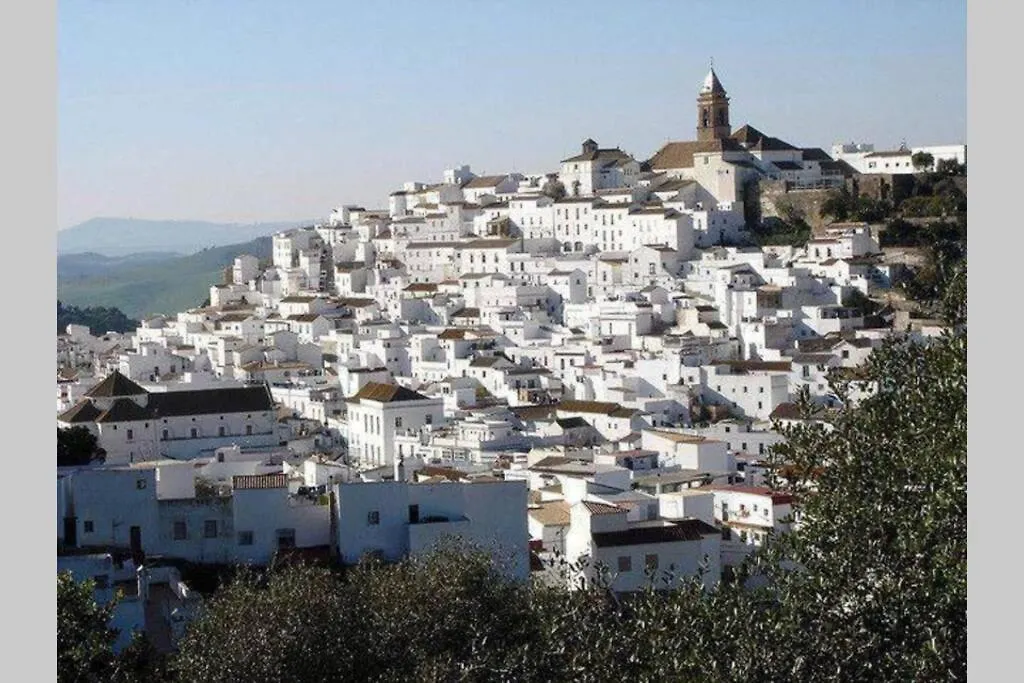Holiday home Beautiful Duplex With A Patio Villa Alcala de los Gazules