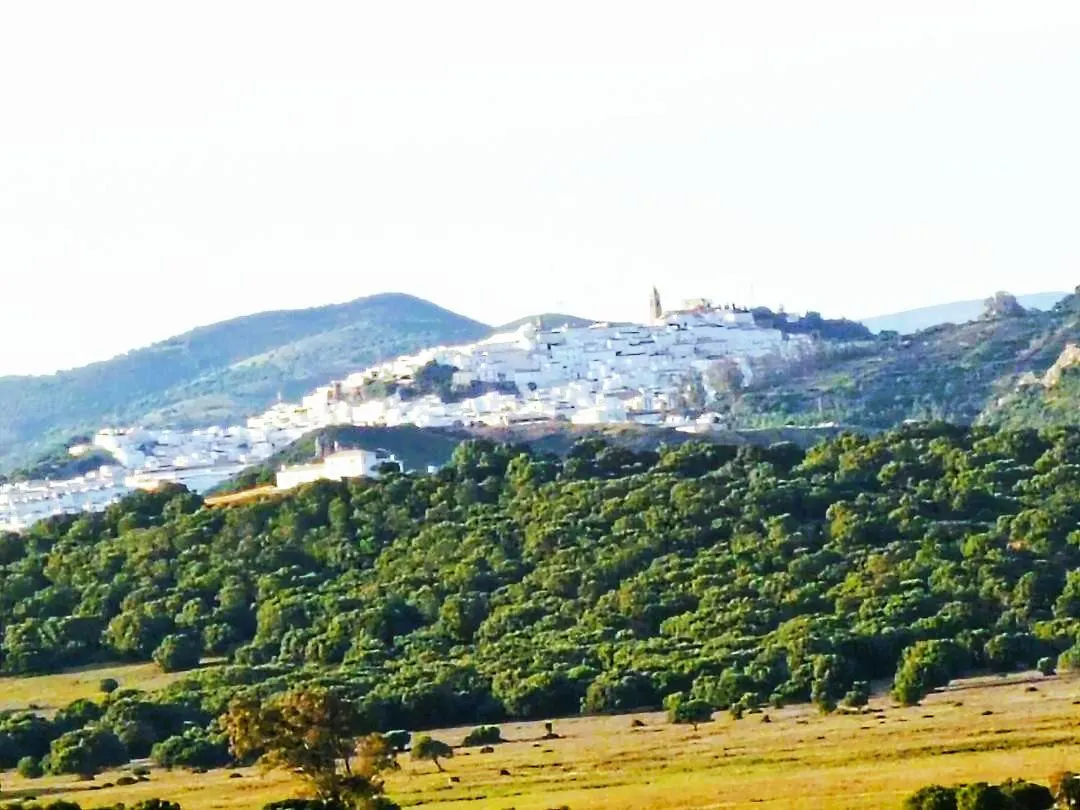 Beautiful Duplex With A Patio Villa Alcala de los Gazules Spain